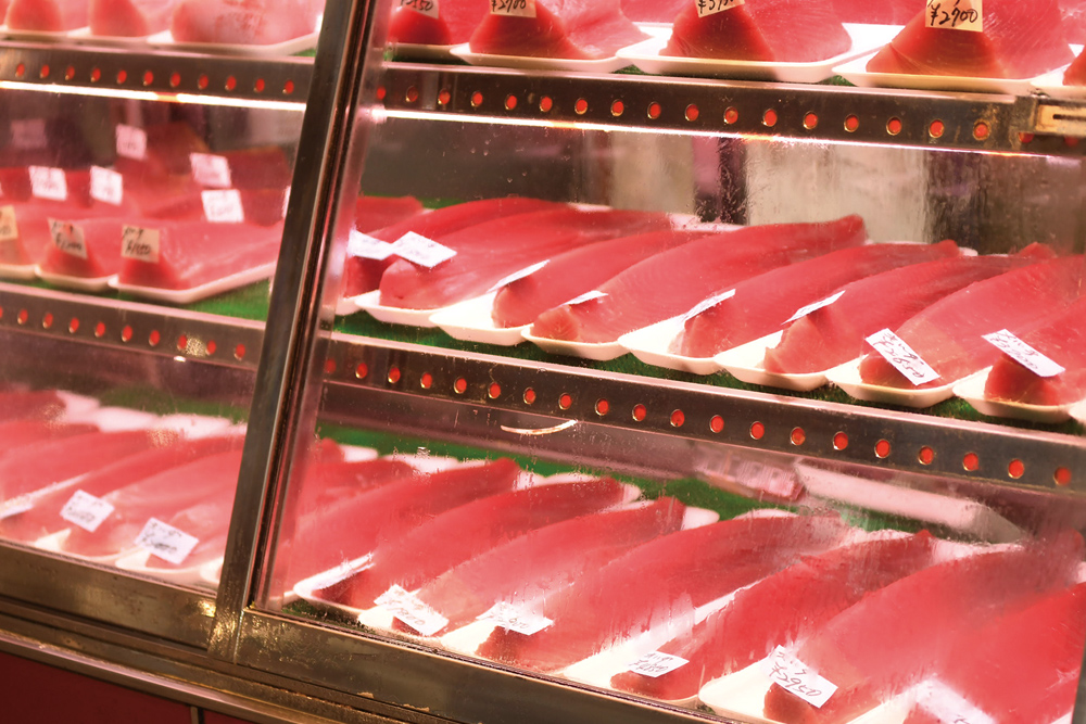 泊いゆまちの画像